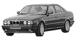 BMW E34 B1950 Fault Code